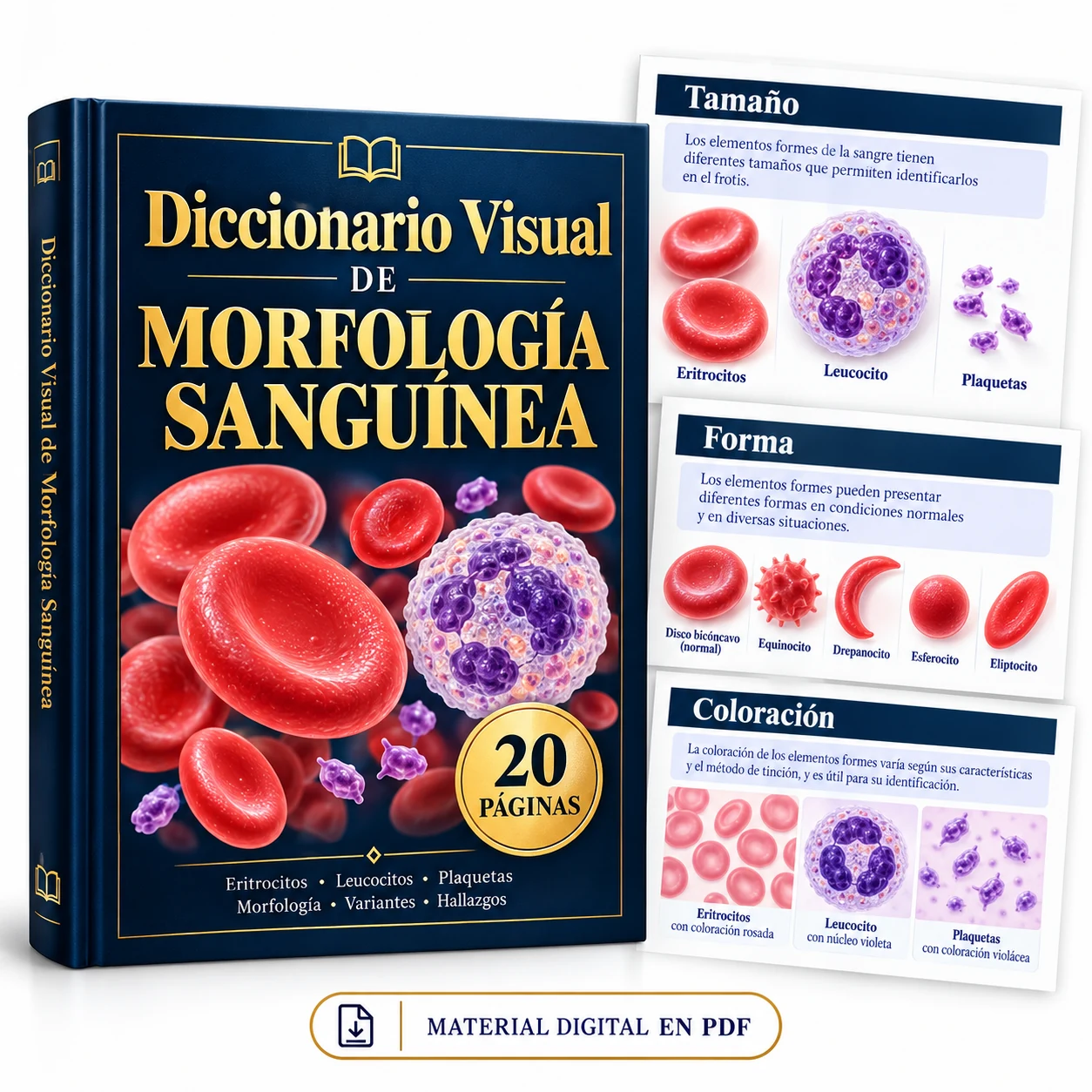 Diccionario Visual de Morfología Sanguínea